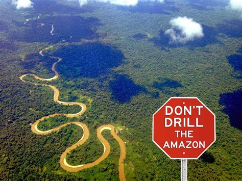 Follow @amazonnews for the latest news from amazon. AMAZON WATCH » Take Action