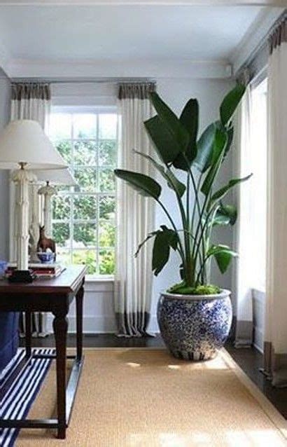 Visualizza altre idee su piante d'appartamento, piante, giardinaggio. 🏡 Room Decor 🎄 #DecorIdeasAccentsAccessories | Bedroom ...