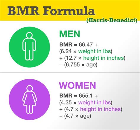 how to calculate bmr male haiper