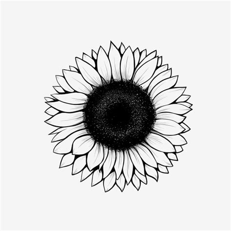 Lineart Sunflower Drawing Sunflower Sun Flower Png Transparent
