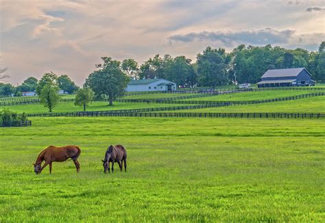 Sunset At Kentuckys Horse Country Photograph By Ina Kratzsch Fine