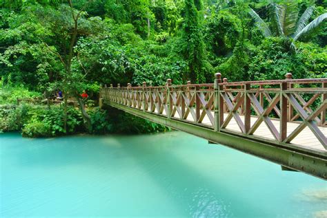 Free Images Water Nature Forest Bridge Crossing