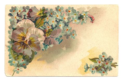 Antique Images Free Flower Graphic Vintage Postcard With Blue Flowers
