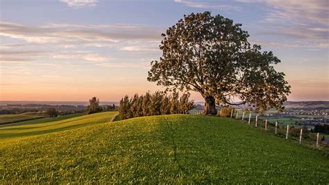 Tree Hill Grass Rural Fence Tree Hill Wide Sky Sunset Evening
