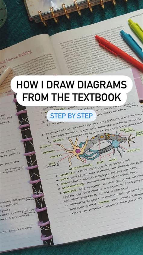 How I Draw Diagrams From The Textbook An Immersive Guide By Natalie Bell
