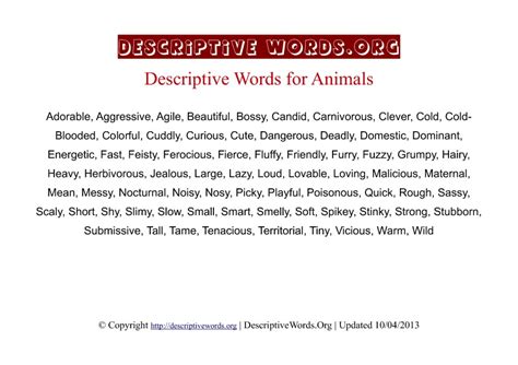 Top 151 List Of Adjectives To Describe Animals