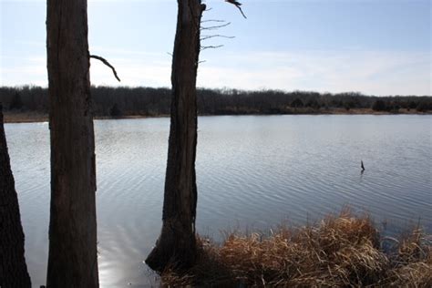 Wilson County Kansas Fishing Lake And Hunting Land For Sale Sundgren