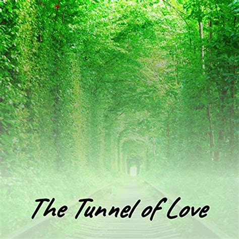 Amazon Music Various Artistsのthe Tunnel Of Love Jp