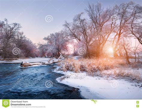 Christmas Background With Snowy Forest Winter Landscape Stock Photo