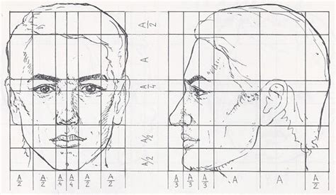 Barakudyta How To Draw The Human Head In Proportion