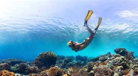 Snorkeling In The Maldives Sea Explorer Maldives