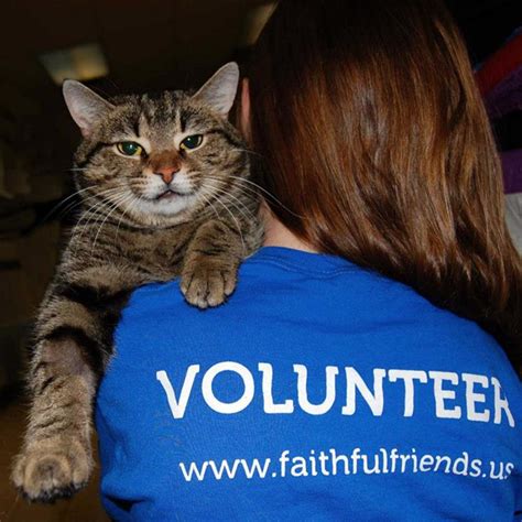 High quality compassionate full service veterinary hospital in the heart of ave maria, florida. Volunteer | Faithful Friends Animal Society | No Kill ...