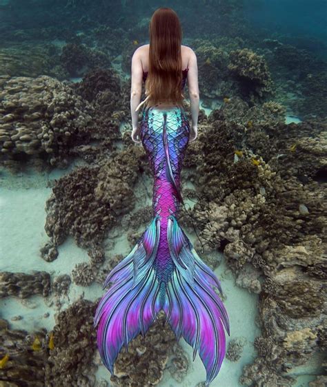 ️finfolk Produktion ️ Realistic Mermaid Tails Beautiful Mermaids