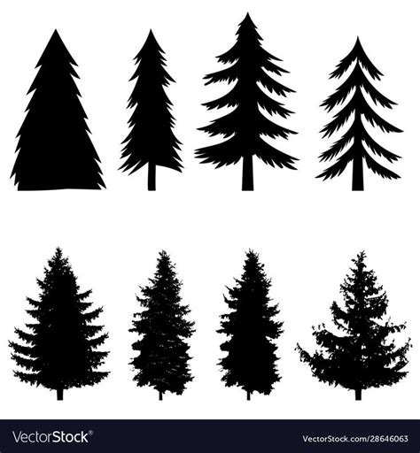 Set Of Silhouettes Of Pine Tree Isolated On White Background Design