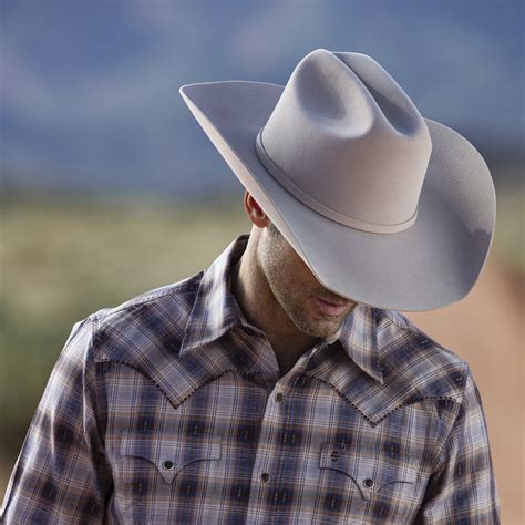 Stetson Cowboy Hats Texanas Marca Stetson El Charro Famoso