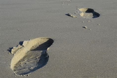 Vor dem dunklen nachthimmel erstrahlten und jedes mal sah ich zwei fußspuren im sand meine eigene und die meines herrn. Spuren im Sand Foto & Bild | natur Bilder auf fotocommunity