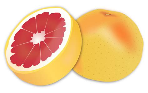 Grapefruit Png Transparent Image Download Size 2400x1524px