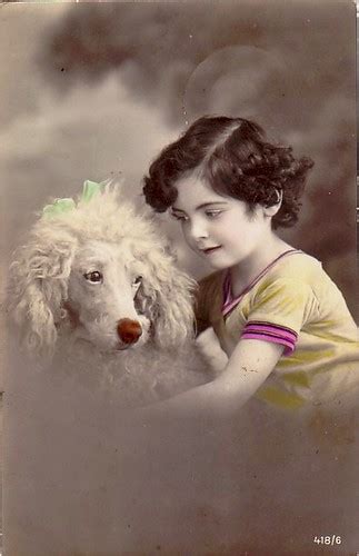 Vintage Postcard ~ Poodle Dog Postcards From My Collection Flickr