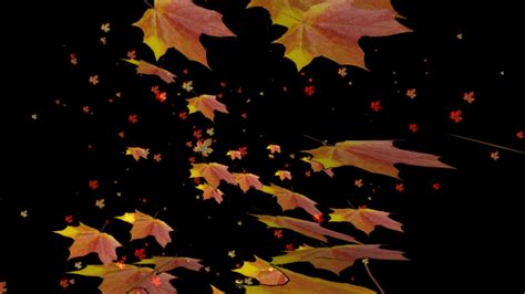 Free leaves falling icons in various ui design styles for web and mobile. Блог Колибри: Animated falling leaves background gif