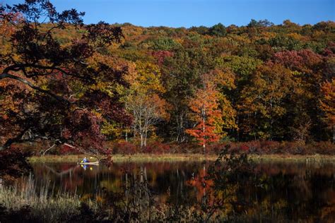 New Jersey Waives Entry Free For State Parks Forests And Recreation