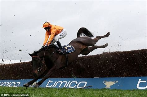 Lizzie Kelly Suffers Nasty Fall At Cheltenham Gold Cup Daily Mail Online