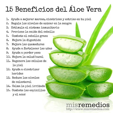 15 fabulosos beneficios del Áloe vera que te encantará conocer recetas para la salud remedios