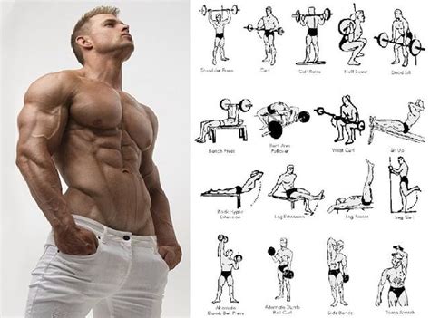 Execute Muscular Strength Exercises For Perfect Body Anytimestrength