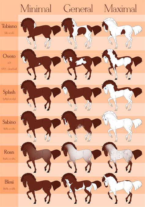 Beaurever White Patterns By Wouv Cute Horses Pretty Horses Beautiful