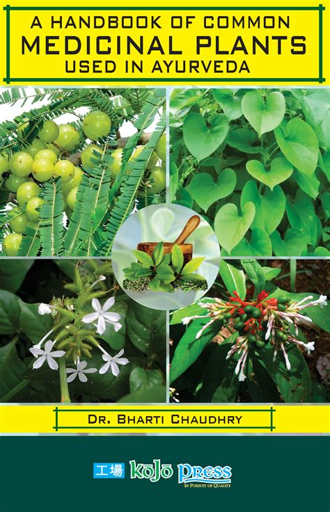 A Handbook Of Common Medicinal Plants Used In Ayurveda Dr Bharti