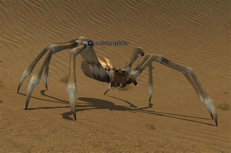 A Dune Spider Everquest 2 Wiki Fandom