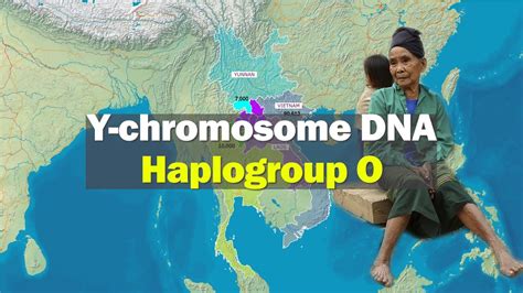 Subclade Distribution Of Y Chromosome Dna Haplogroup O Youtube