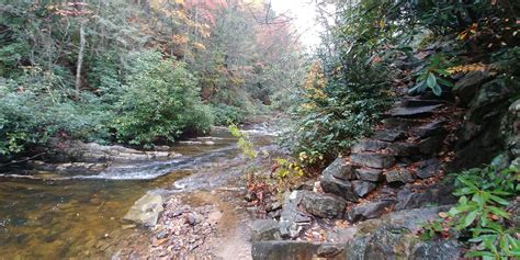 16 Best North Carolina Fall Hiking Trails | Republic Blog