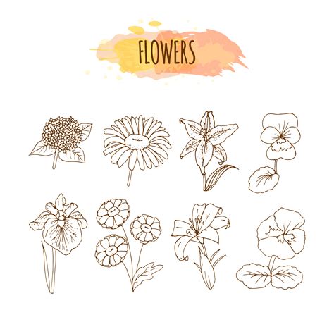 Hand Drawn Flower Set. Floral Illustration. 333335 - Download Free 