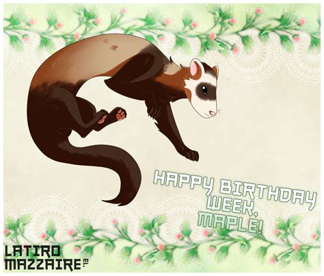 Birthday Ferret — Weasyl