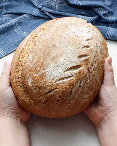 Easy Yeast Bread Offers Online Save 67 Jlcatjgobmx