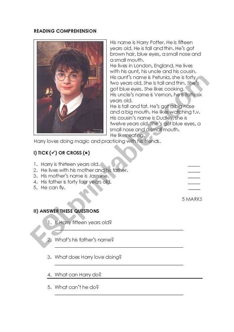 Harry Potter Reading Comprehension Worksheets