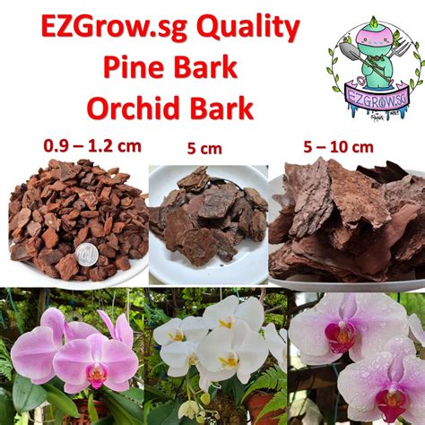 New Zealand Quality Pine Bark Orchid Bark For Gardening Mulching Aroid