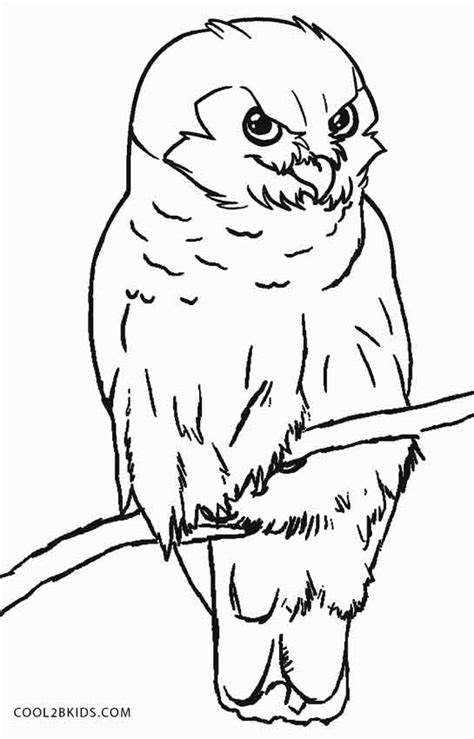They are often associated with magic and macabre in popular fiction. Free Printable Owl Coloring Pages For Kids