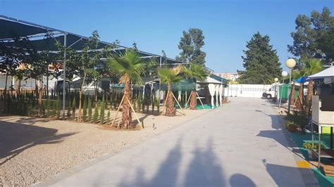 Camping Los Llanos Updated 2024 Prices And Campground Reviews Denia