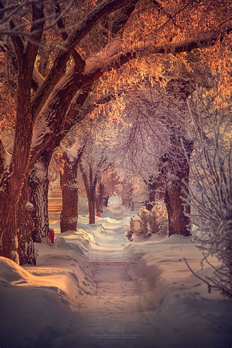 Winter Path In Saskatchewan Canada Rmostbeautiful