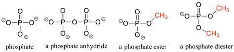 12 Chemical Foundations Biology Libretexts