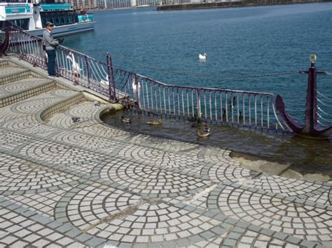 있는거는 뭔가 제물이 아닌거 같아서 다른거 쉣그어그. ビワイチ（琵琶湖一周ウォーク）のお伴に〜大津駅から堅田駅 ...