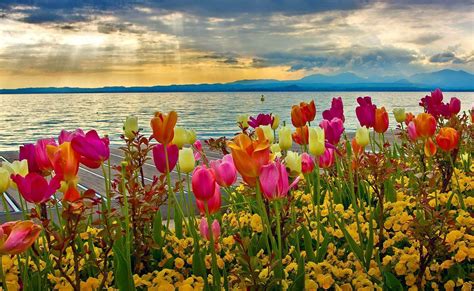 20 Perfect free spring desktop wallpaper widescreen You Can Use It At ...