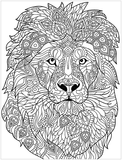 Lion Coloring Pages For Adults
