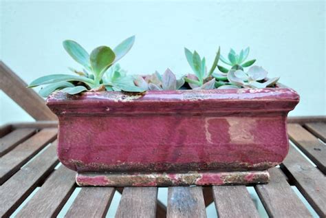 Purple Ceramic Planter With Living Succulents