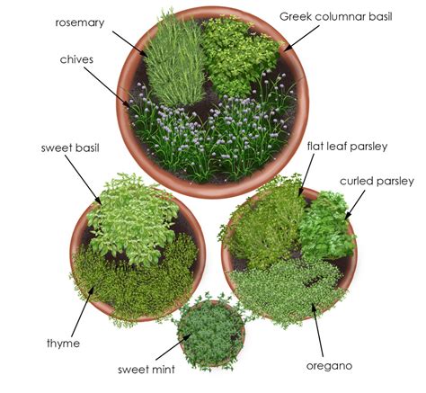 Herb Garden In Containers Bonnie Plants