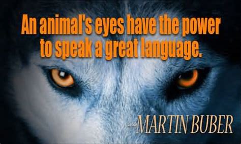 51 Best Animal Quotes Will Touch Your Heart Picsmine