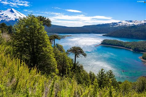 Mountains Chile Trees Viewes Lake For Desktop Wallpapers 2560x1708