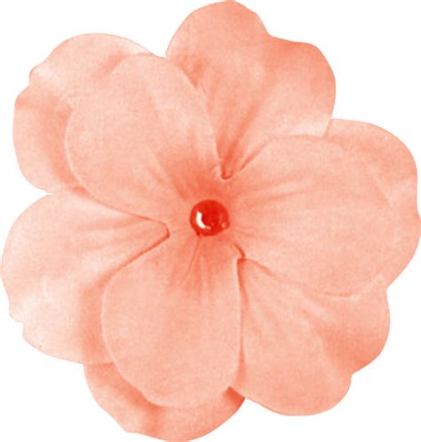 Peach Flower 449k Clipart Large Size Png Image Pikpng