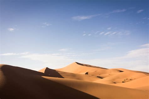 Download Sahara Brown Sand Field Wallpaper